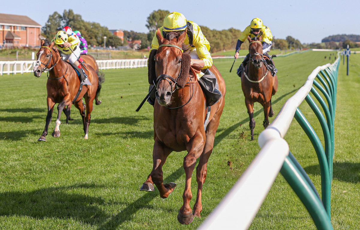 Ayr racecourse